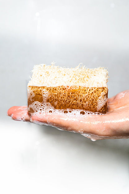Exfoliating body soap with built-in loofah and moisturizing honey base